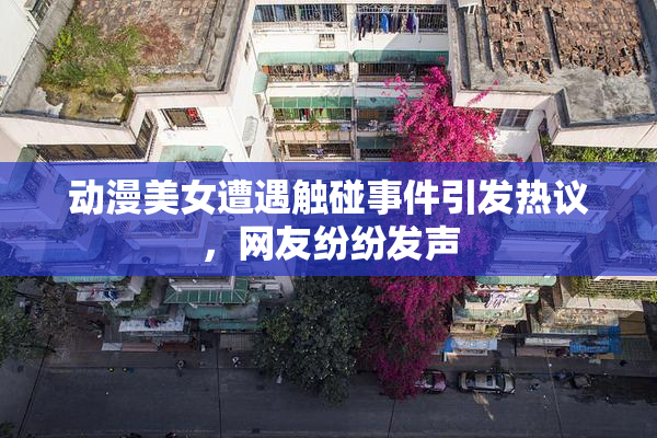 动漫美女遭遇触碰事件引发热议，网友纷纷发声
