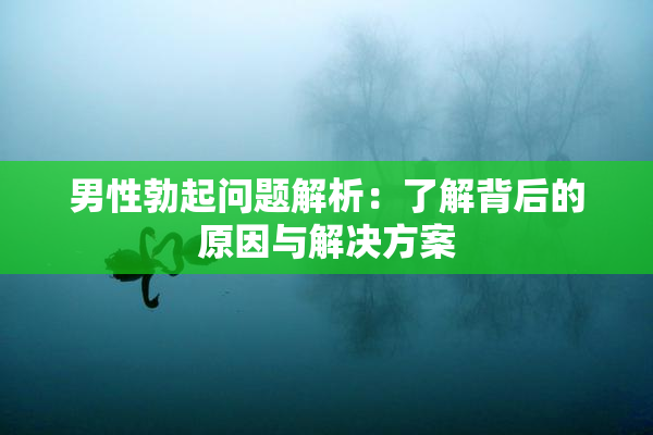男性勃起问题解析：了解背后的原因与解决方案