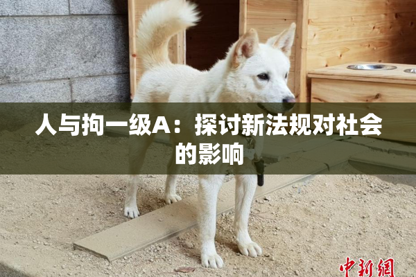 人与拘一级A：探讨新法规对社会的影响