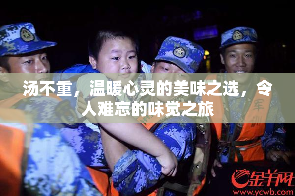 汤不重，温暖心灵的美味之选，令人难忘的味觉之旅