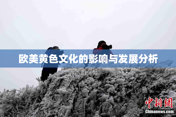 欧美黄色文化的影响与发展分析
