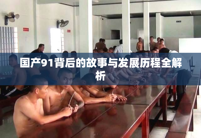 国产91背后的故事与发展历程全解析