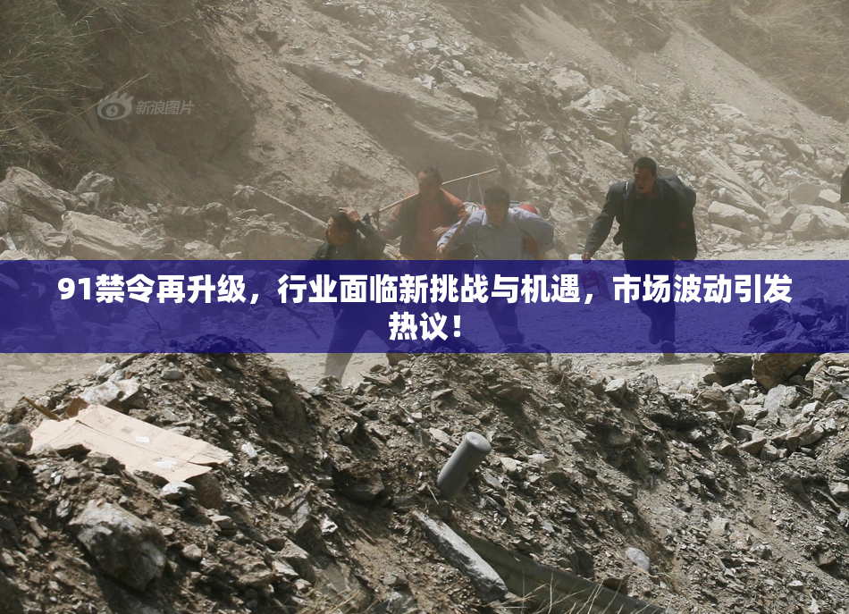 91禁令再升级，行业面临新挑战与机遇，市场波动引发热议！