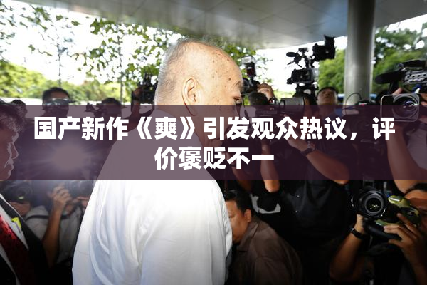 国产新作《爽》引发观众热议，评价褒贬不一