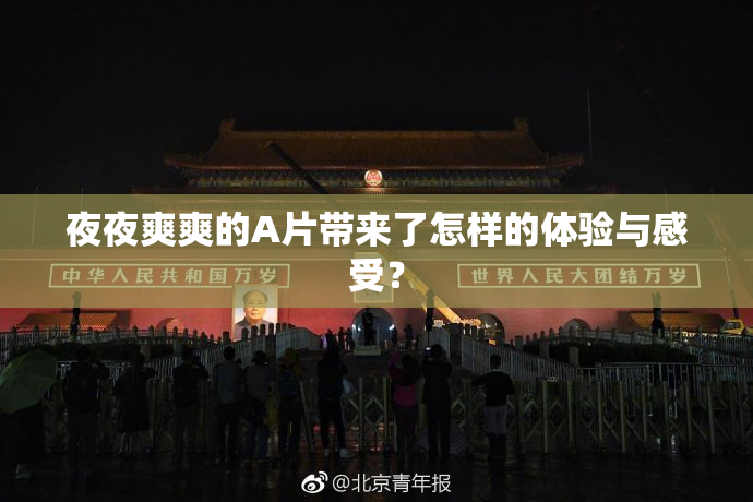 夜夜爽爽的A片带来了怎样的体验与感受？