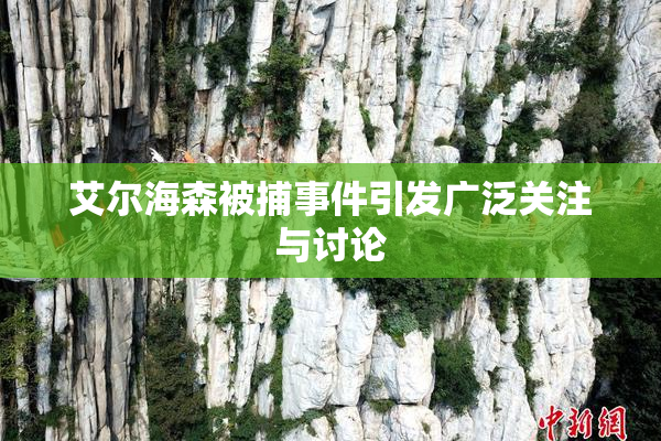 艾尔海森被捕事件引发广泛关注与讨论