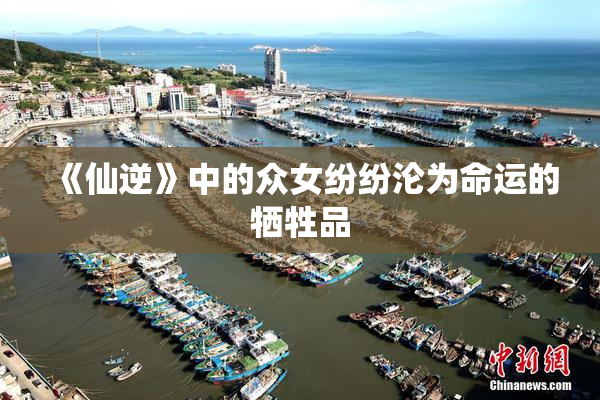 《仙逆》中的众女纷纷沦为命运的牺牲品
