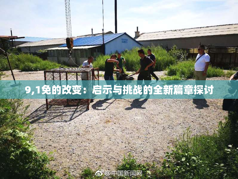 9,1免的改变：启示与挑战的全新篇章探讨