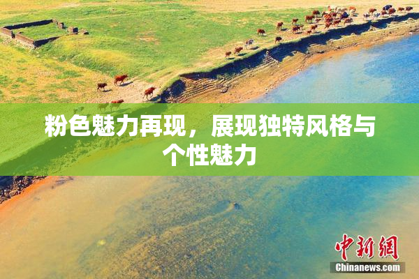粉色魅力再现，展现独特风格与个性魅力