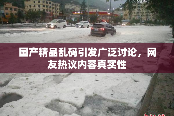 国产精品乱码引发广泛讨论，网友热议内容真实性