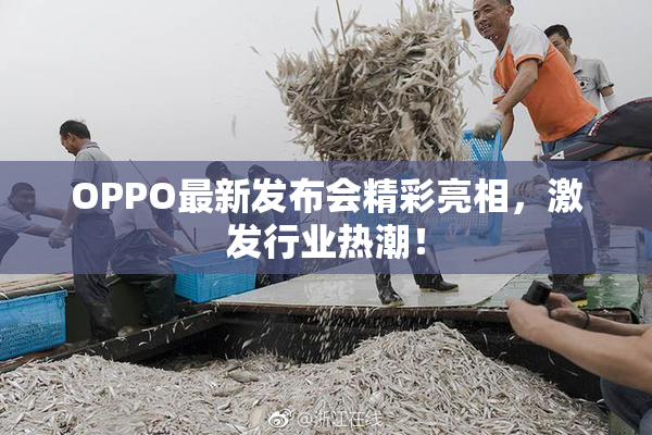 OPPO最新发布会精彩亮相，激发行业热潮！