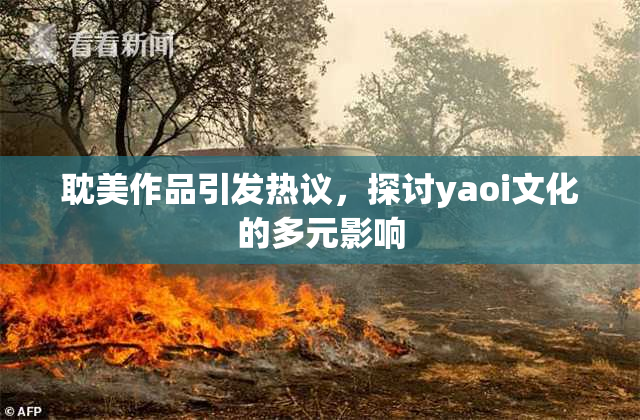 耽美作品引发热议，探讨yaoi文化的多元影响