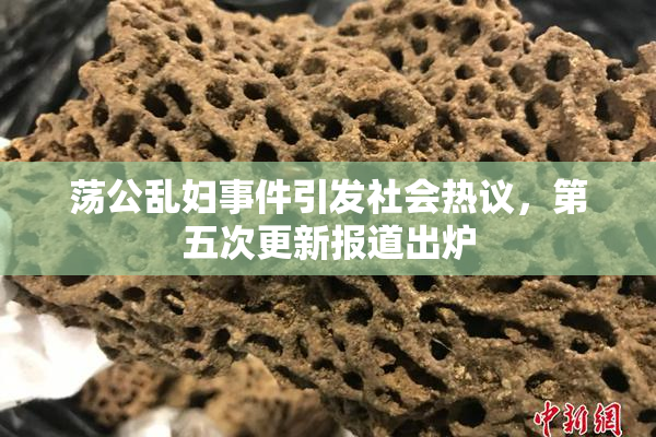 荡公乱妇事件引发社会热议，第五次更新报道出炉