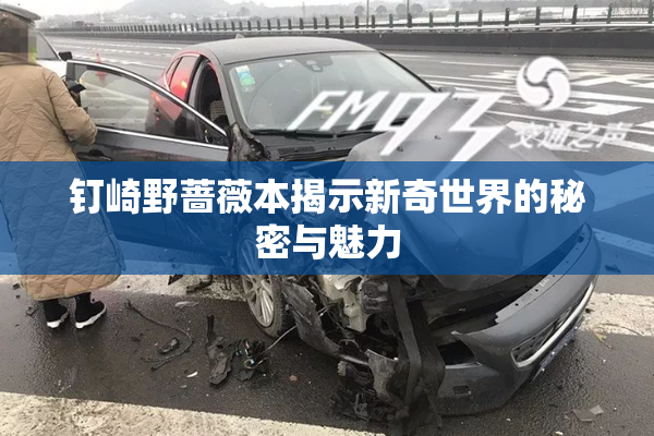 钉崎野蔷薇本揭示新奇世界的秘密与魅力