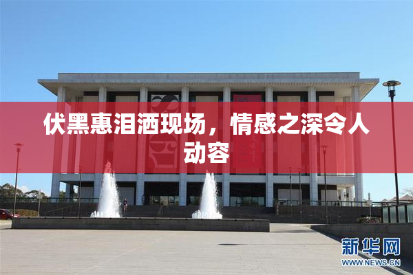 伏黑惠泪洒现场，情感之深令人动容