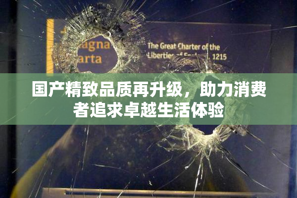 国产精致品质再升级，助力消费者追求卓越生活体验