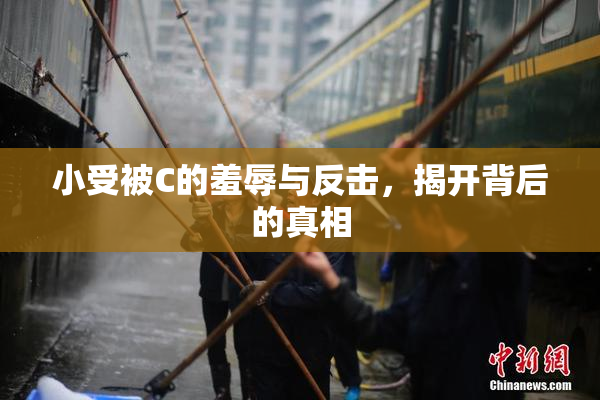 小受被C的羞辱与反击，揭开背后的真相