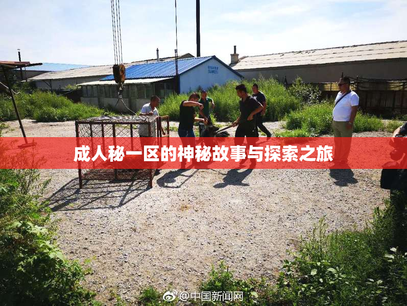 成人秘一区的神秘故事与探索之旅