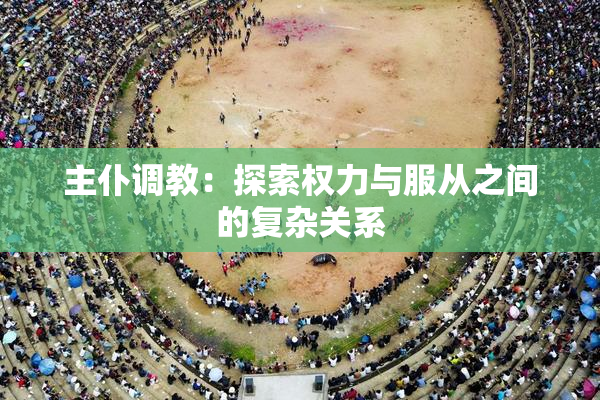 主仆调教：探索权力与服从之间的复杂关系