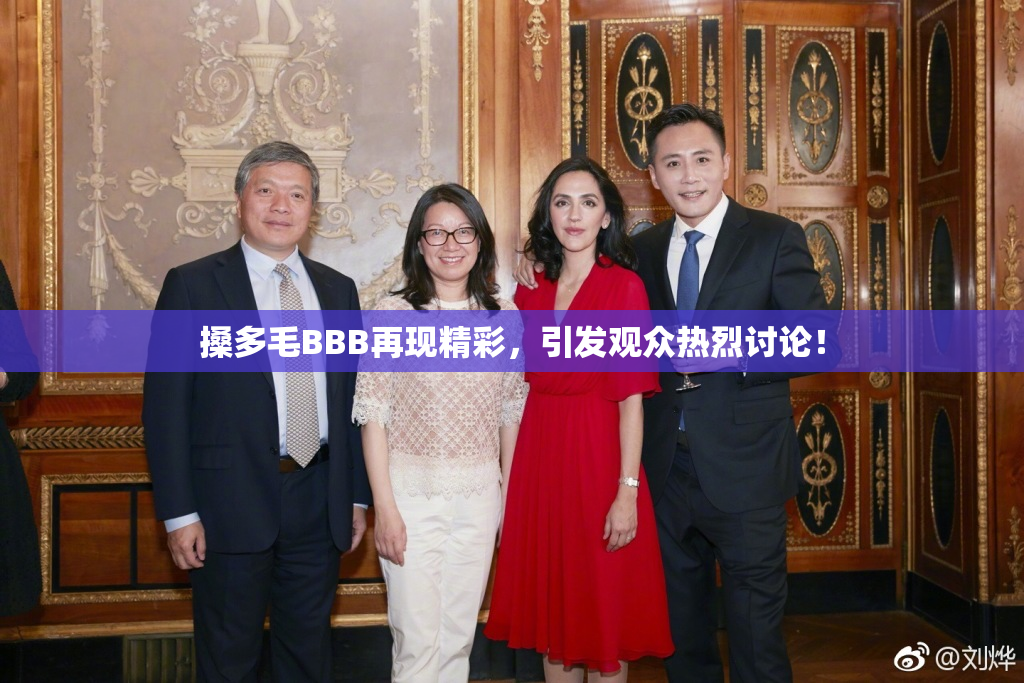 搡多毛BBB再现精彩，引发观众热烈讨论！