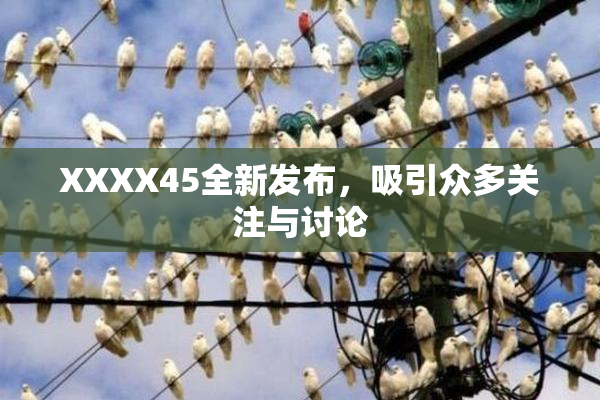 XXXX45全新发布，吸引众多关注与讨论