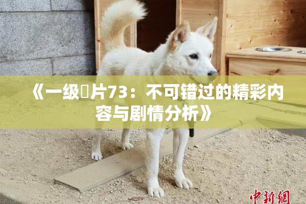 《一级婬片73：不可错过的精彩内容与剧情分析》