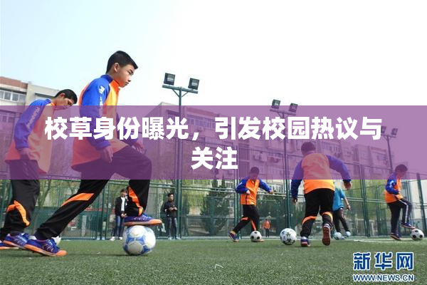 校草身份曝光，引发校园热议与关注