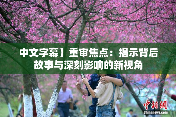 中文字幕】重审焦点：揭示背后故事与深刻影响的新视角