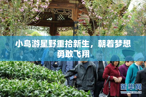 小鸟游星野重拾新生，朝着梦想勇敢飞翔