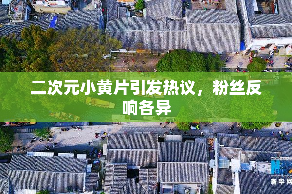 二次元小黄片引发热议，粉丝反响各异