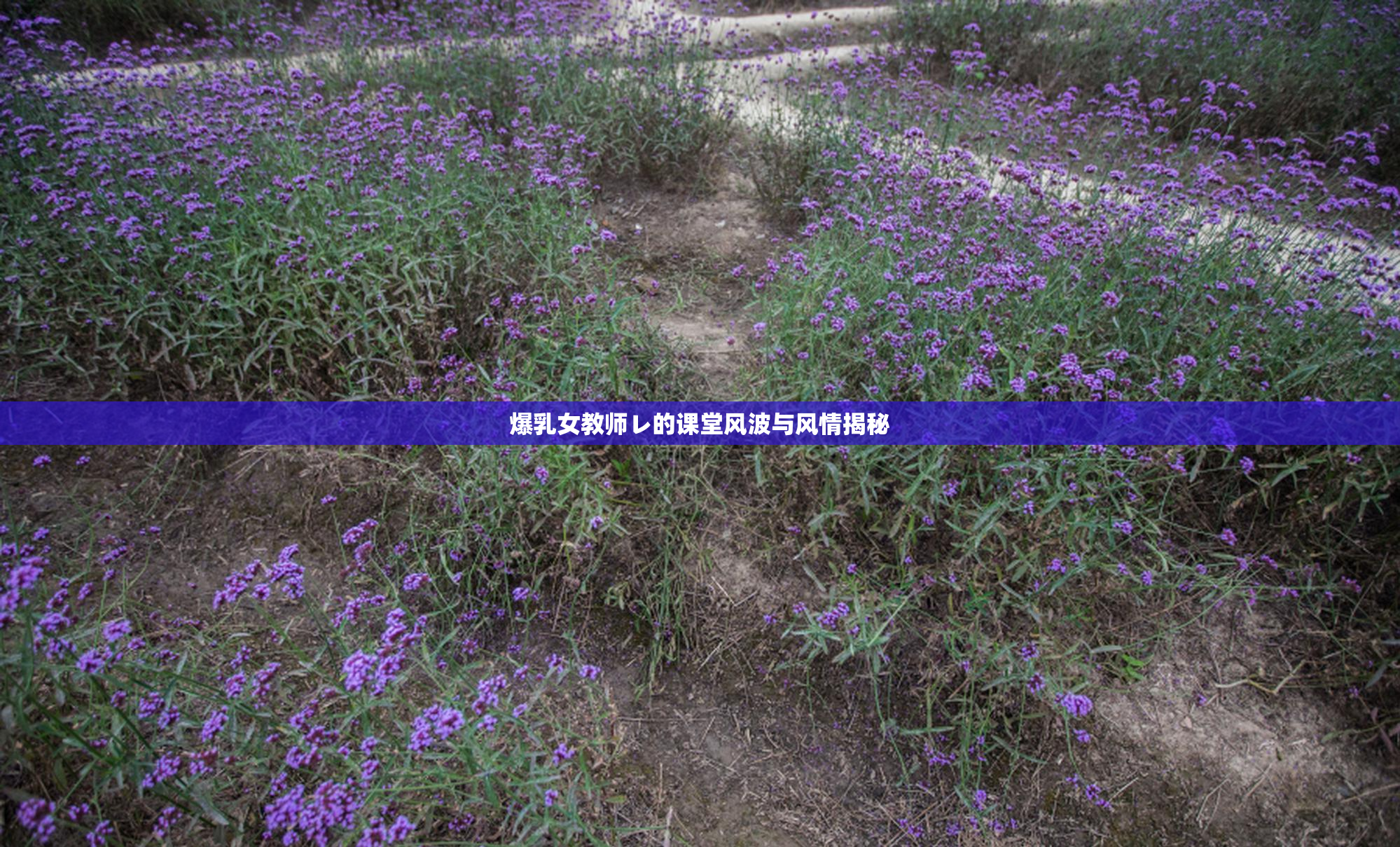 爆乳女教师レ的课堂风波与风情揭秘