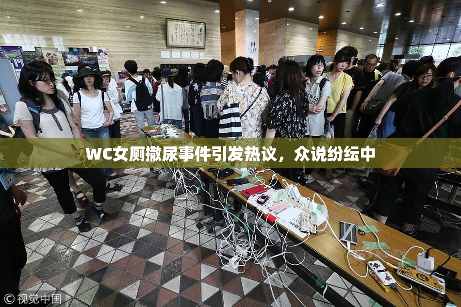 WC女厕撒尿事件引发热议，众说纷纭中