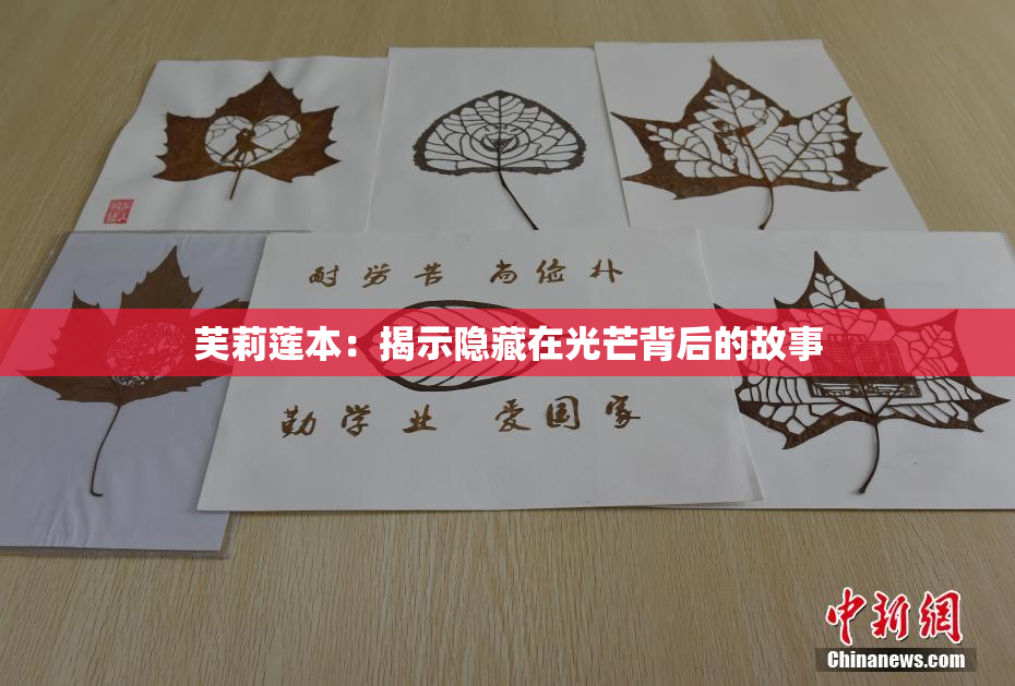 芙莉莲本：揭示隐藏在光芒背后的故事