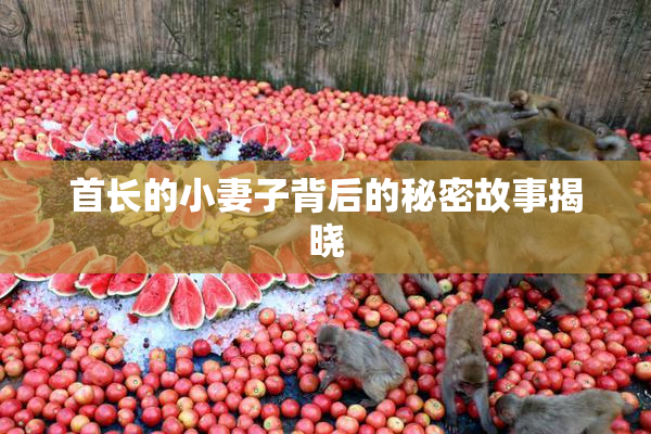 首长的小妻子背后的秘密故事揭晓