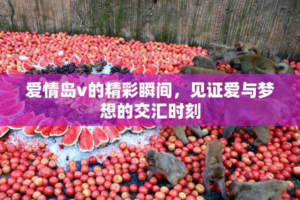 爱情岛v的精彩瞬间，见证爱与梦想的交汇时刻