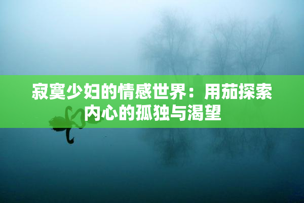 寂寞少妇的情感世界：用茄探索内心的孤独与渴望