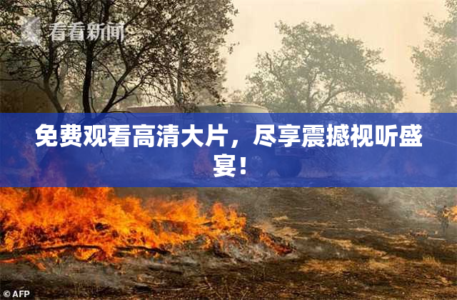 免费观看高清大片，尽享震撼视听盛宴！