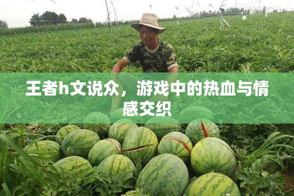 王者h文说众，游戏中的热血与情感交织