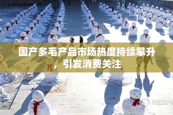 国产多毛产品市场热度持续攀升，引发消费关注