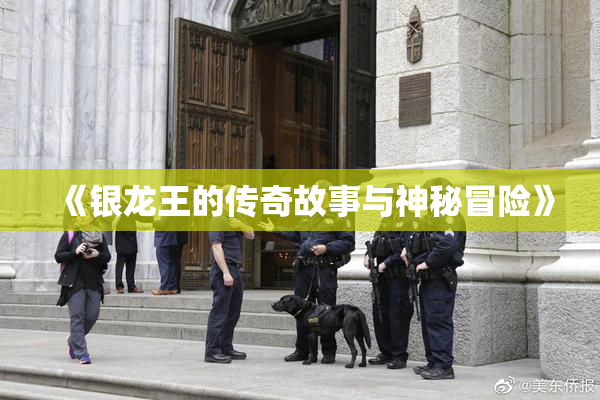 《银龙王的传奇故事与神秘冒险》