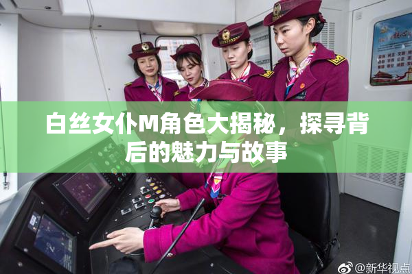 白丝女仆M角色大揭秘，探寻背后的魅力与故事