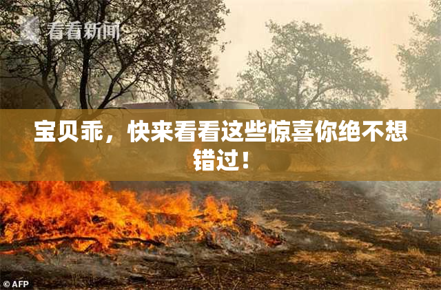 宝贝乖，快来看看这些惊喜你绝不想错过！