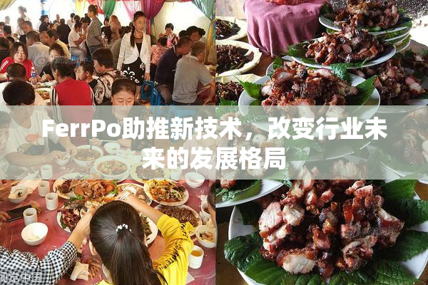 FerrPo助推新技术，改变行业未来的发展格局