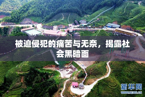被迫侵犯的痛苦与无奈，揭露社会黑暗面