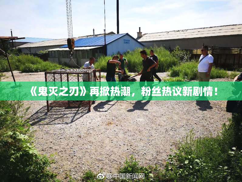 《鬼灭之刃》再掀热潮，粉丝热议新剧情！