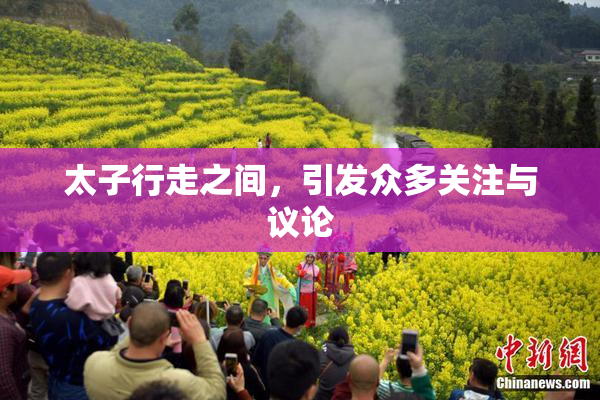 太子行走之间，引发众多关注与议论