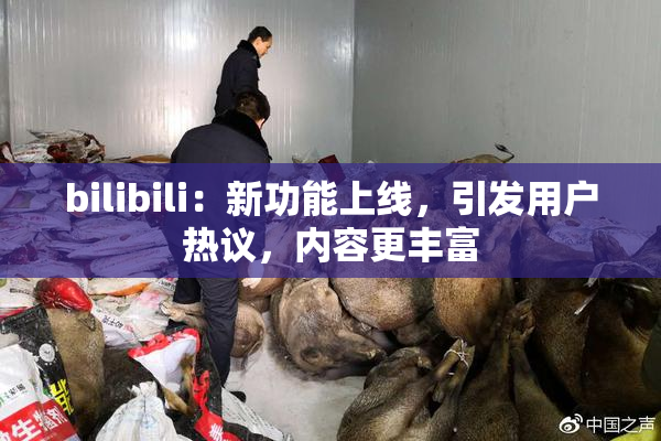 bilibili：新功能上线，引发用户热议，内容更丰富