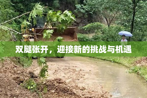 双腿张开，迎接新的挑战与机遇
