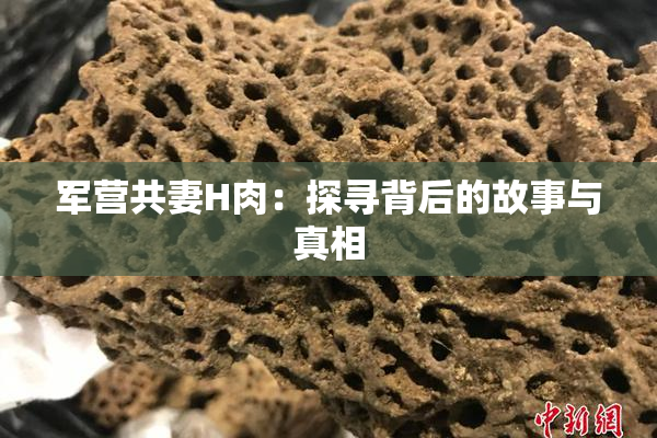 军营共妻H肉：探寻背后的故事与真相