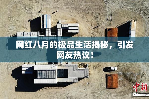 网红八月的极品生活揭秘，引发网友热议！